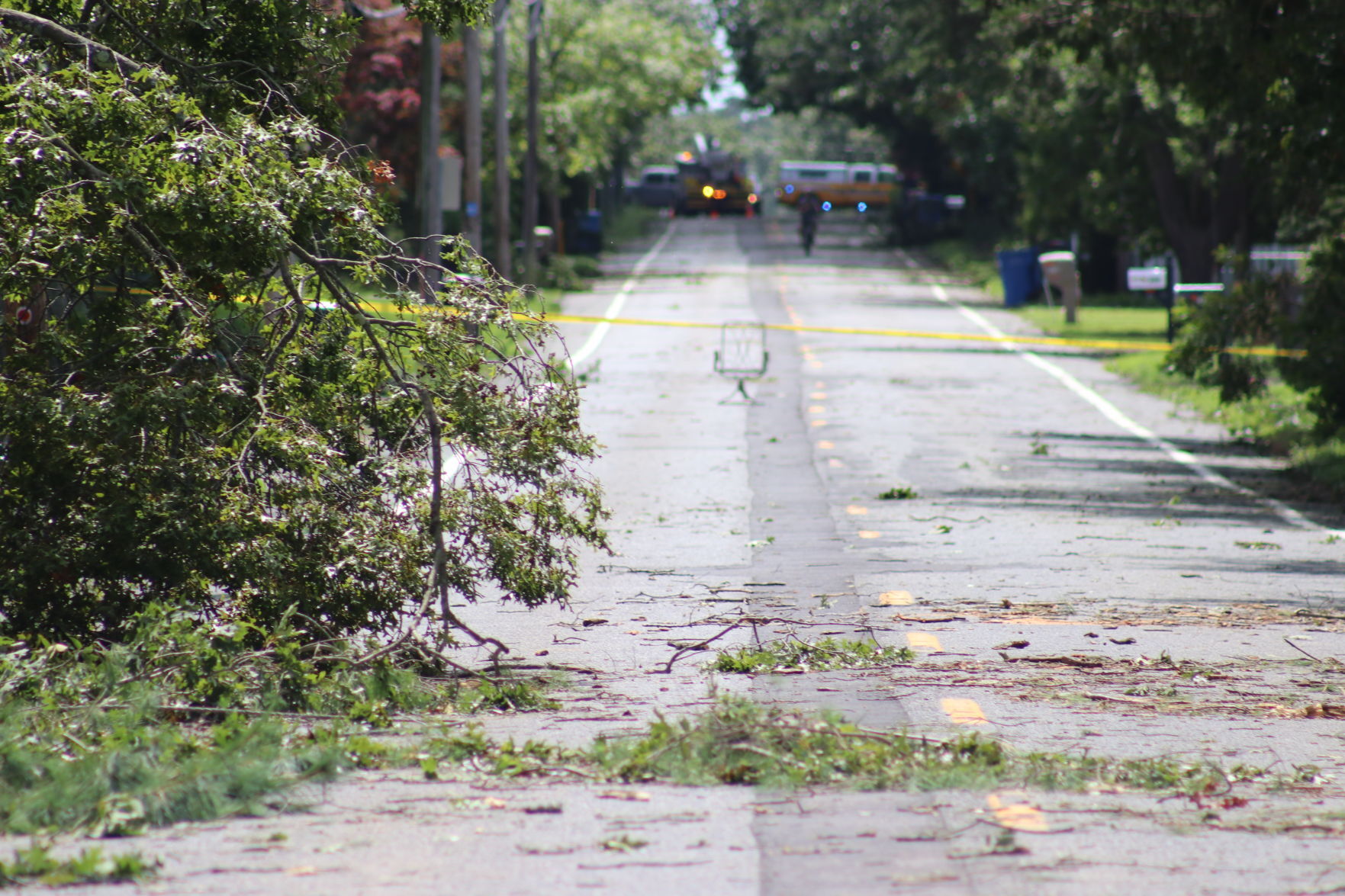 stagecoach road.JPG